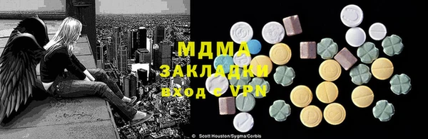 шишки Бородино