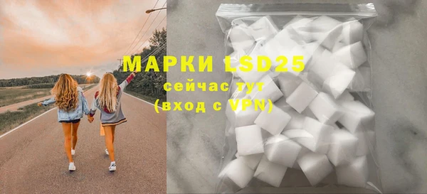 шишки Бородино
