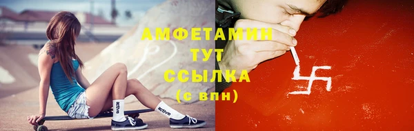 шишки Бородино