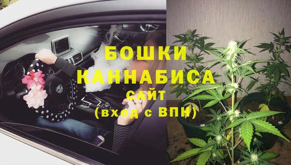 трава Бронницы