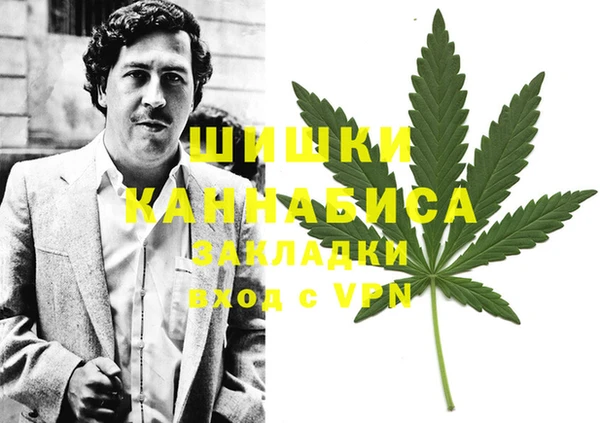 ECSTASY Богородицк