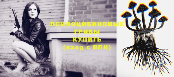 ECSTASY Богородицк