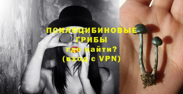 ECSTASY Богородицк