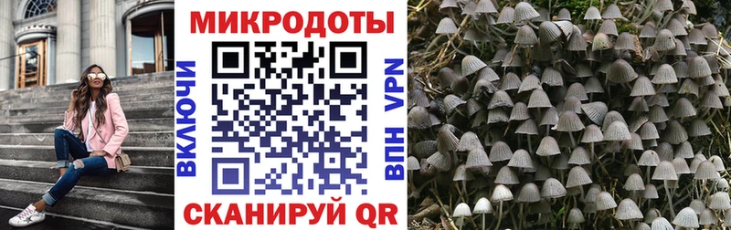 Псилоцибиновые грибы мухоморы  как найти   Вилючинск 